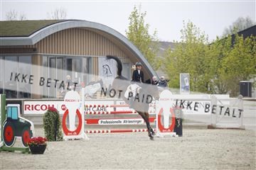 181332_kbb_02_6II5516.JPG