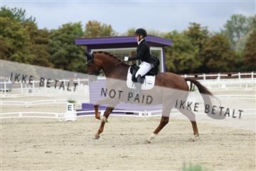 181923_mtp_03_R62_7343.JPG