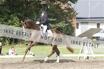 130918_sc_01_IMG_0374.jpg