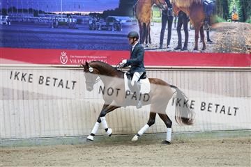181887_mtp_04_R62_8448.JPG