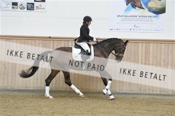 160111_nn_01__ESK1604.JPG