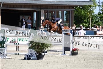 181436_avh_02_3821.JPG