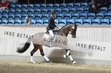 160111_nn_01__ESK2203.JPG