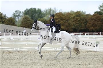 181923_mtp_04_R62_8408.JPG