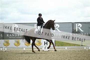 181449_kbb_03_Z090330.JPG