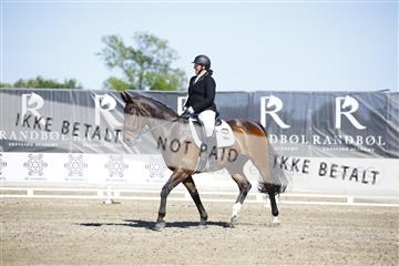181449_kbb_01_6II9533.JPG