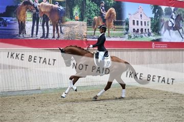 181887_mtp_05_R62_9737.JPG