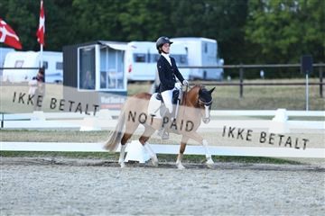181894_mtp_05_R62_5419.JPG