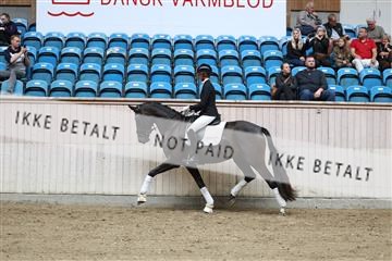 181887_mtp_04_R62_8758.JPG