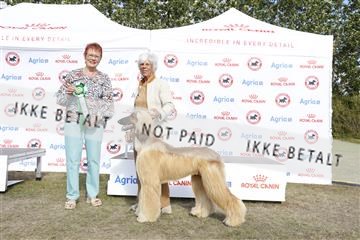 181848_kar_01__62_4348.JPG