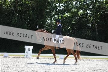 172073_mtp_01_3M5A4482.JPG