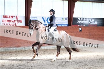 175442_kbb_01_R6II0248.JPG