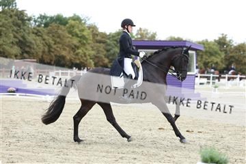181923_mtp_04_R62_8935.JPG