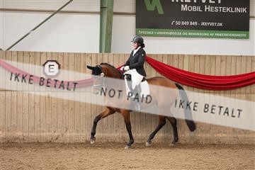 171342_mtp_01_3M5A7430.JPG