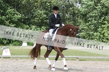 135518_ms_02_IMG_2767.JPG