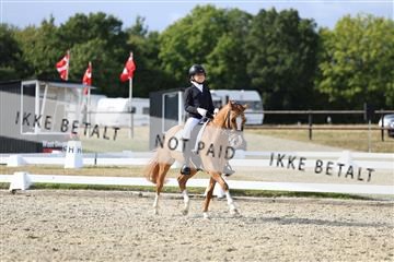 181894_mtp_05_R62_5019.JPG