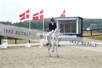 181894_mtp_05_R62_4403.JPG