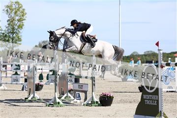 181436_avh_02_3672.JPG