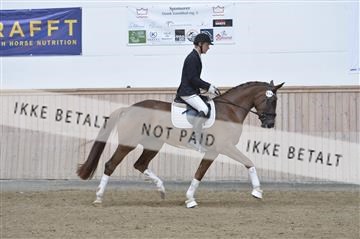 160111_nn_01__ESK2096.JPG