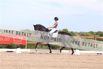 181449_bc_01R62_5878.JPG