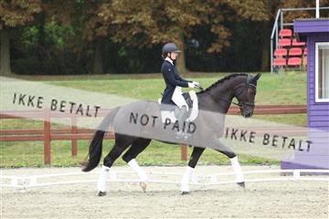 181923_mtp_04_R62_8994.JPG