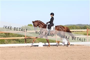181449_bc_01R62_6383.JPG