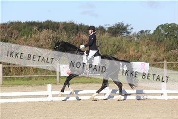 148862_sg_01_IMG_2705.JPG
