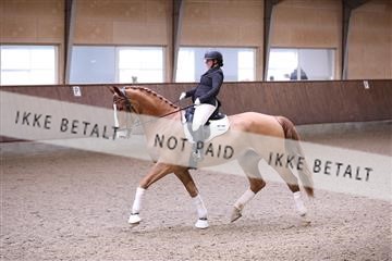 173821_mtp_01_3M5A8488.JPG