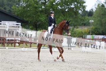 181923_mtp_01_R62_6425.JPG