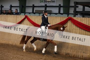170266_mtp_01_3M5A0396.JPG