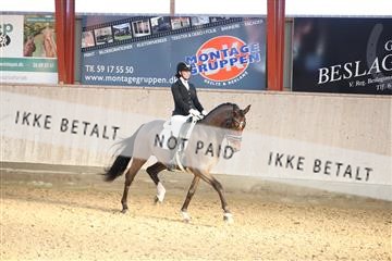 173782_mtp_01_3M5A7898.JPG