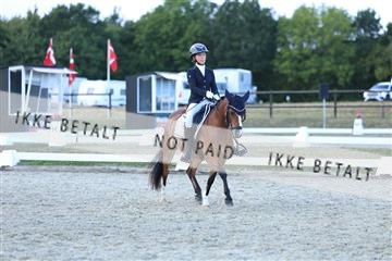 181894_mtp_05_R62_5451.JPG