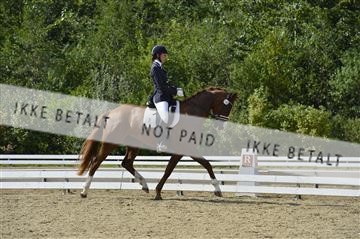 136195_abo_01__AB15995.JPG