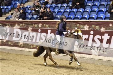 161006_abo_01__D052146.JPG