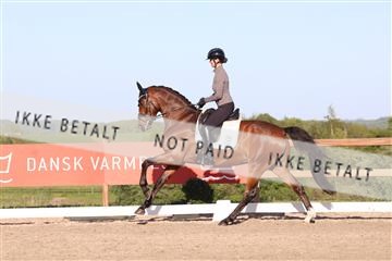 181449_bc_01R62_6487.JPG