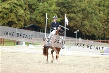 181923_mtp_04_R62_8537.JPG