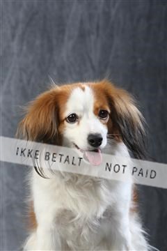 129608_le_ 01_0550.JPG