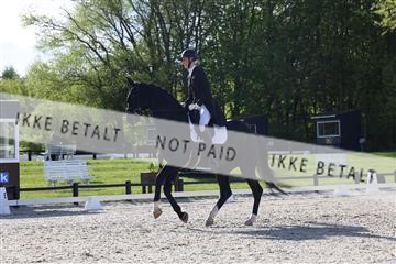 179330_avh_01_5080.JPG