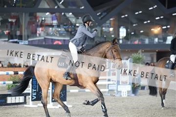 178124_avh_02_3307.JPG