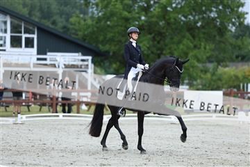 181923_mtp_01_R62_6531.JPG