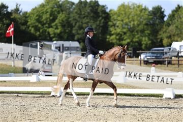 181894_mtp_05_R62_4857.JPG