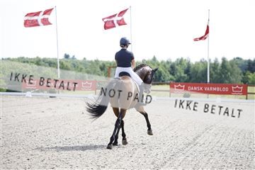 181449_kbb_02_6II1069.JPG
