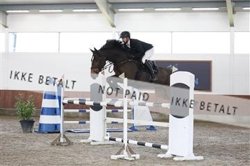 178124_avh_02_2893.JPG