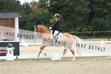 181894_mtp_03_R62_2992.JPG