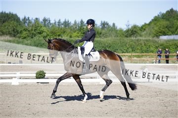 181449_kbb_01_6II8996.JPG