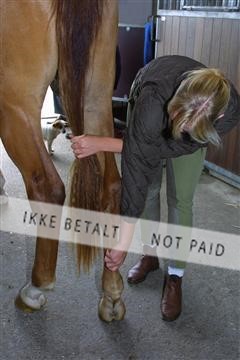 1257_04_100-0005_IMG.JPG