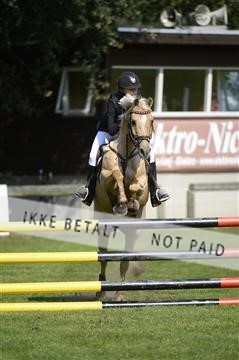 144548_abo_01__ab13578.JPG