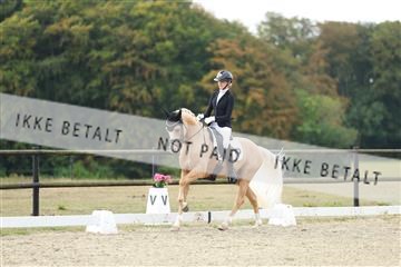 181894_mtp_04_R62_3740.JPG