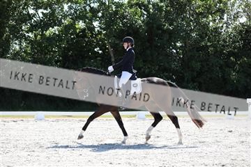 172073_mtp_01_3M5A4570.JPG