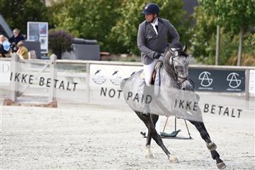 181922_avh_03_1718.JPG